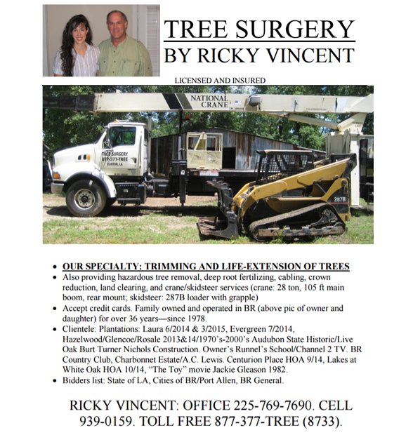 Quality Demolition & Tree Services at Affordable Pricing