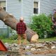 The Real Cost of Tree & Demolition Work — And How to Save Big