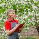How to Know It’s Time to Call a Tree Expert